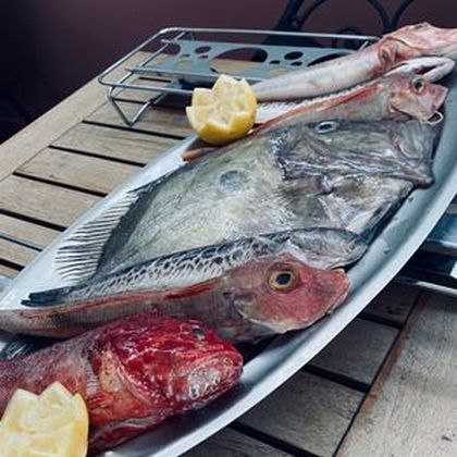 Poissons pour la bouillabaisse